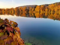 Vacation apartment on the Rhine فنادق في Sisseln