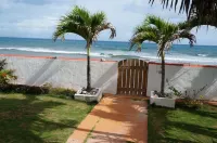 Bravo Beach Hotel - Ocean View