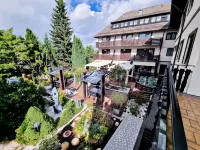 Hotel Rössle Hotels in Bad Wildbad