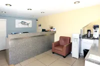 Blue Marlin Motel - Motels