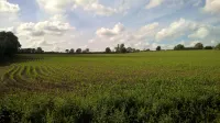 Beeches Farmhouse Country Cottages & Rooms Hotel a Trowbridge