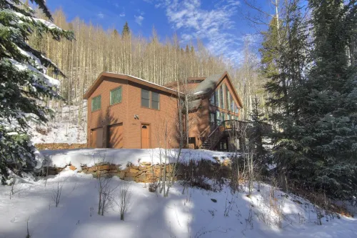 亞斯本之家 4 房私人度假屋 - 雷艾温