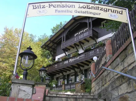Bilz-Pension Отели в г. Радебойль