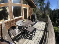 Black Bear Guesthouse Hotels in Tofino