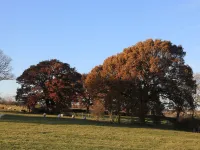 7 Scarah Bank Cottages Hotels in Markington with Wallerthwaite