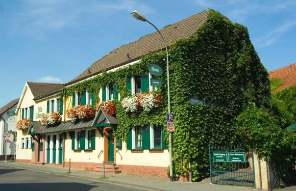 阿爾特斯科奴恩蘭德豪斯酒店