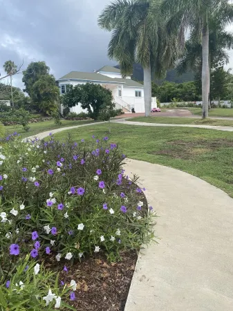 The Captain's House 3 Bed Villa with pool, gardens, peak & ocean views Отели в г. Невис