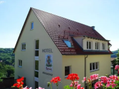 Berggasthof Hotel Igelwirt Hotels in Nurnberger Land