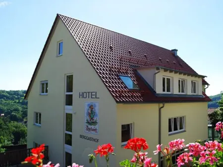 Berggasthof Hotel Igelwirt Отели в г. Лауф-ан-дер-Пегниц