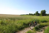Appartementanlage-Ferienwohnungen Weiße Möwe - 3-Star