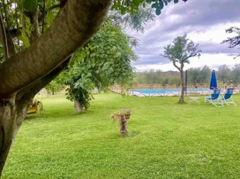 Il Girasole Terzuolo