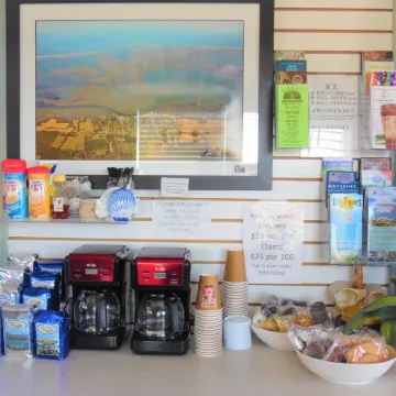 Wachapreague Inn - Motel Rooms