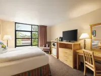 Staypineapple, University Inn, University District Seattle Hotels near Northgate