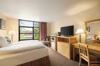 Staypineapple, University Inn, University District Seattle