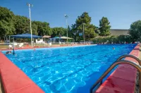 Travel Hotel Eilon - Pool