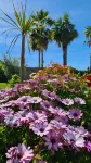 Villa Martinus Hotels in Saint-Paul-De-Vence