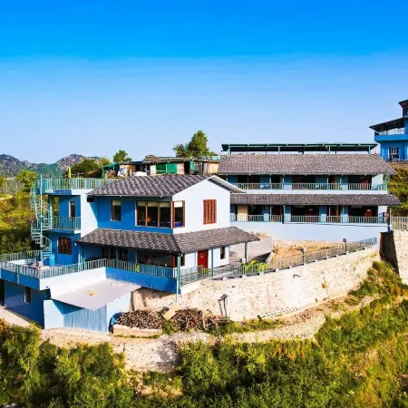 The Himalayan Deodar