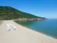 Mukha ORMANLI - Beach