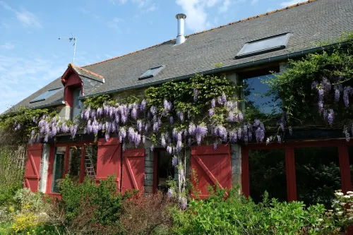 La Maison Jaune à la Janaie - homestay