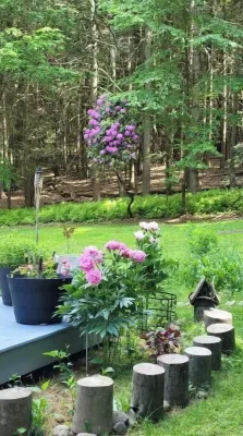 Mai's Cabin!