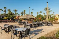 典雅現代的皇家棕櫚