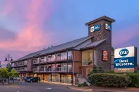 Best Western the Westerly Hotel - Pet friendly