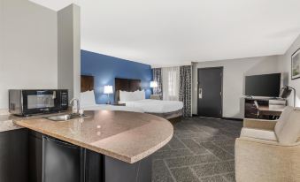 Best Western Rochester Hotel Mayo Clinic Area/St. Marys