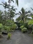 Jungle Oasis Bungalow Hôtels à : Tanna