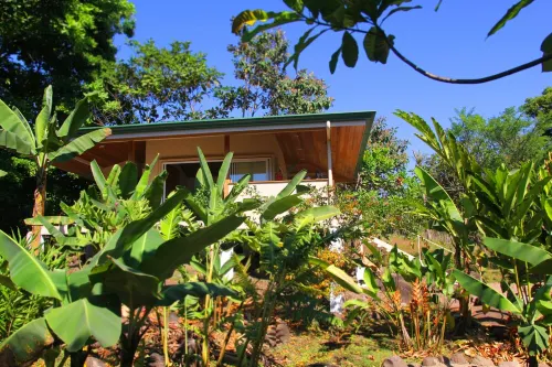 Private Casita 1 Private Casita @ Permaculture Planet Nature Resort