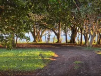 Charming 1-bedroom apartment in amazing Nuevo Arenal with WiFi