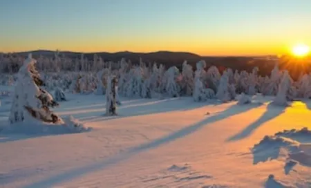Chalet with Sauna, Fireplace, Barrier-Free in Alpine Chalet Style, in the Upper Harz Mountains