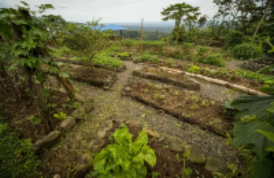 La Tigra Rainforest Lodge