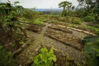 La Tigra Rainforest Lodge