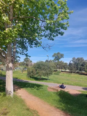 Magnificent T2 in the center Hotels in Cheraga