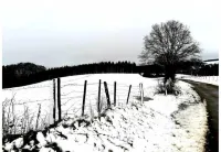 La Maison Sous les Arbres Hotels in Gouvy