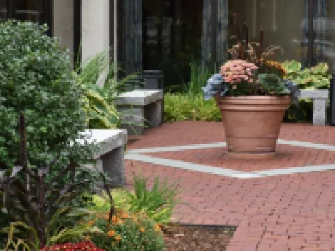 โฟร์พอยท์ส บายเชอราตัน นอร์วูด โรงแรมในนอร์วูด