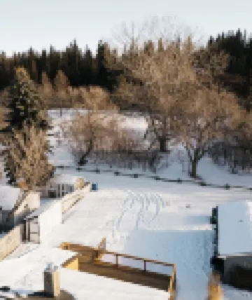 Paradise On The Park