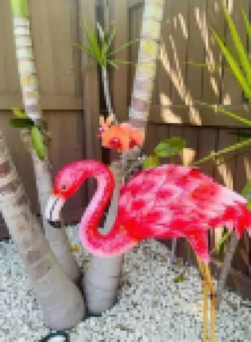 Brand New Studio with Pool Access Hotels in Oakland Park