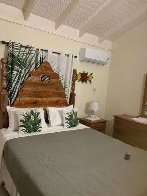 Ideal coastal retreat near Falmouth , Trelawny in sunny Jamaica Hôtels à : 