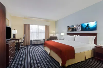 Holiday Inn Express & Suites Clearwater North/Dunedin Hotels near Seeds
