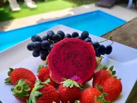 Pousada Dona Francisca Hotels near Floripa Mall