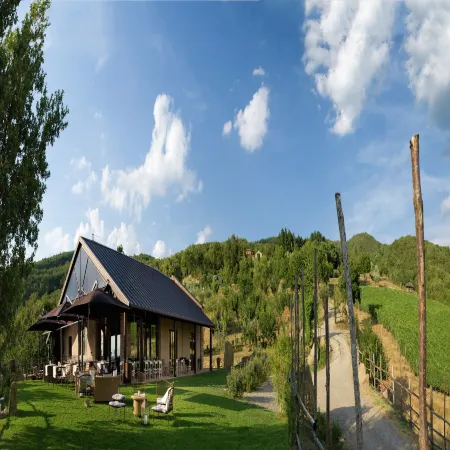 Villa in Tuscany with Organic Wine Estate