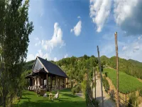Villa in Tuscany with Organic Wine Estate