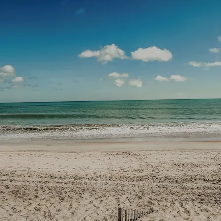 Sand Life - Pelican's Upper Deck!