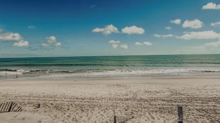 Sand Life - Pelican's Upper Deck!