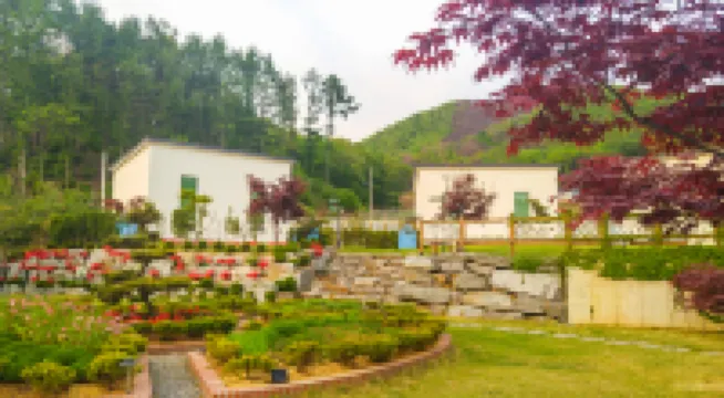 Paju One Frame Pension