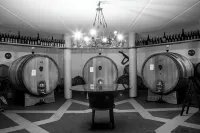 阿格里圖裡斯莫特里利酒店 - 酒吧