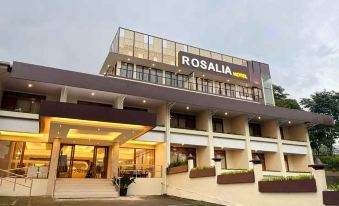 Rosalia Hotel Baturaden - Housity