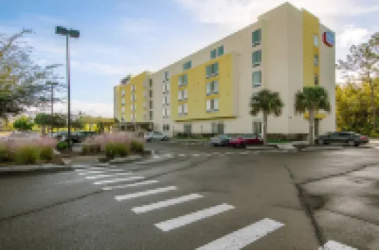 SpringHill Suites Tampa North/I-75 Tampa Palms