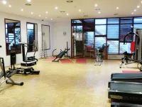 Mercure Brussels Centre Rogier - Gym